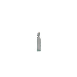 Bottiglia Mini 12.5 cl Fragola  5308 San Miguel