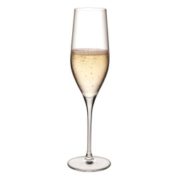 Calice Champagne 24.5 cl Vinifera  66079 Nude